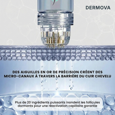 Kit de renouvellement capillaire